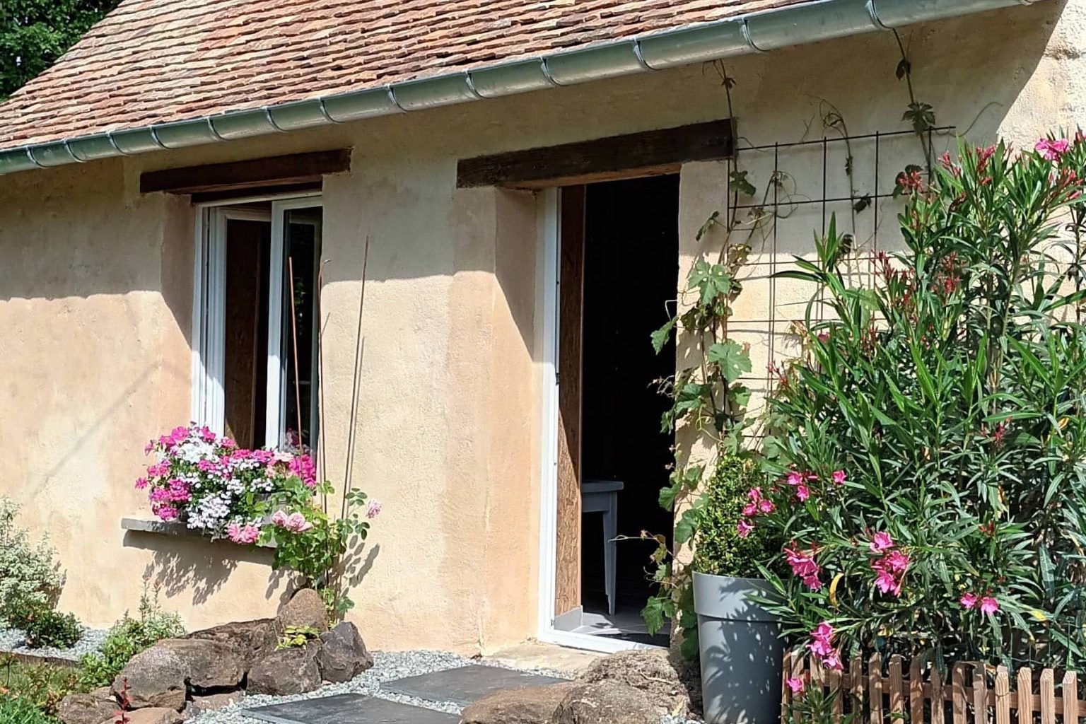 pension-pour-chats-dépendance
