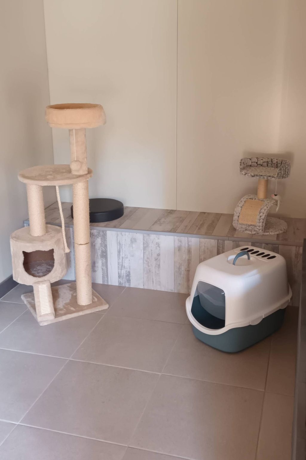 pension-pour-chats-box
